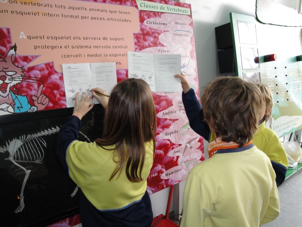 Els alumnes del Ramon Castelltort, al zoo