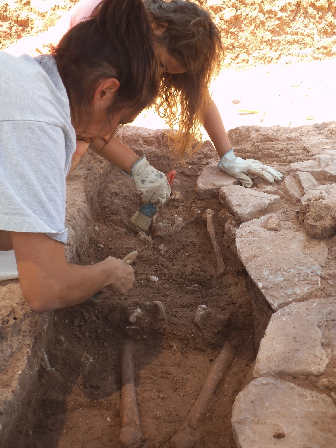 Les excavacions del 2013 van descobrir a "Carmina"