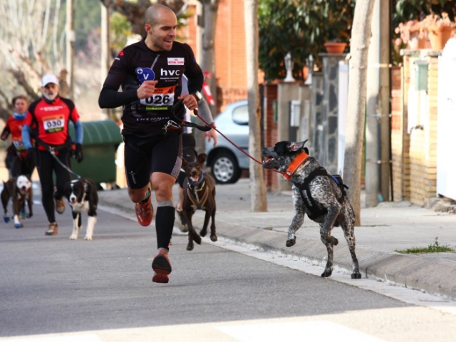 1r canicrós a Vallbona d'Anoia