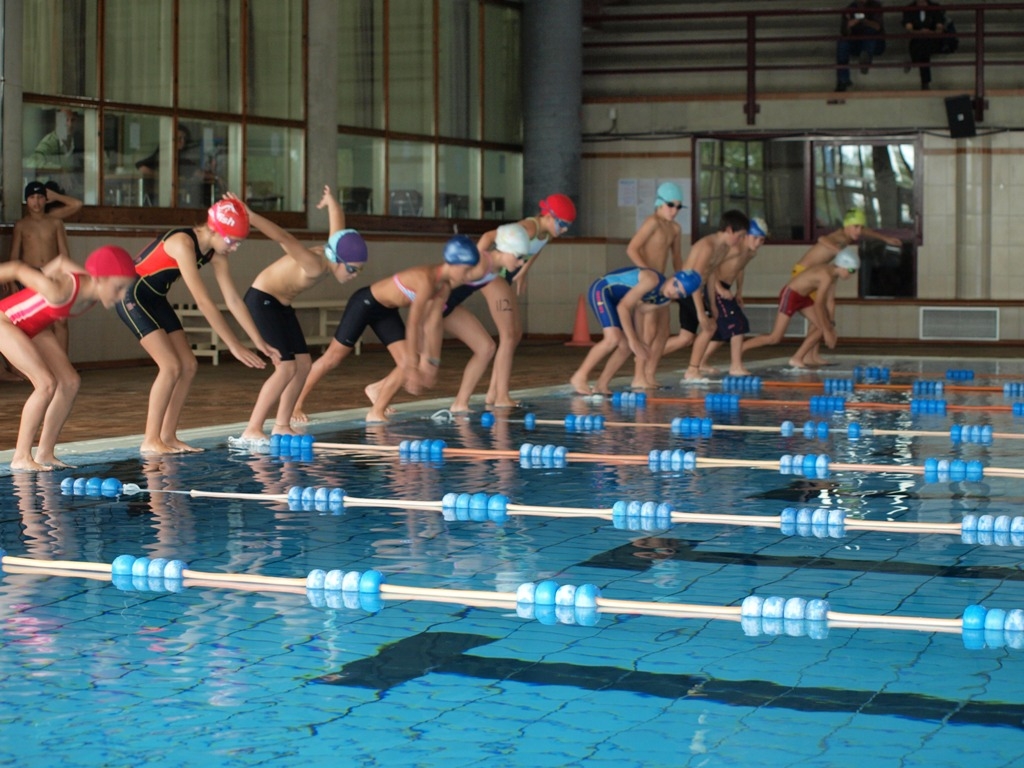 Els participants a la prova de natació