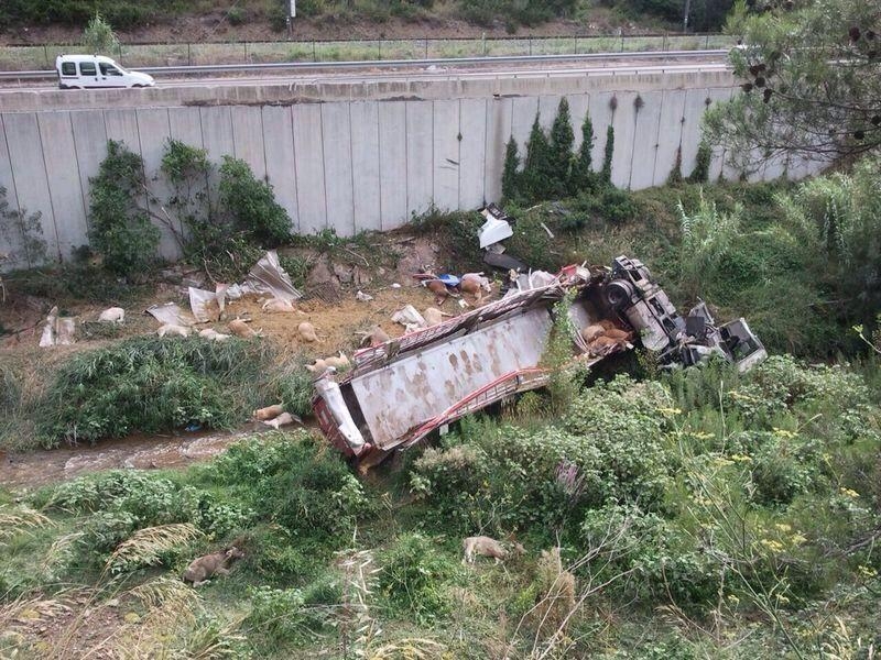 Així ha quedat el camió després de caure daltabaix del pont de la C-15 a Capellades. Foto: @xipnoti