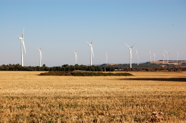 Camps de blat i molins, el nou paisatge de la zona