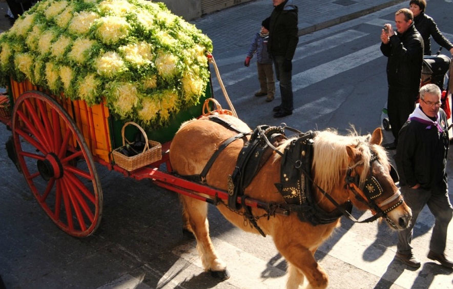 Pere Argelich amb el seu carro d'escaroles. Foto: Antic Gremi Traginers d'Igualada