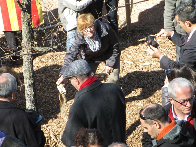 A l’acte hi va assistir la regidora de Cultura, Esther Touriñán, que va poder tirar la terra al roure