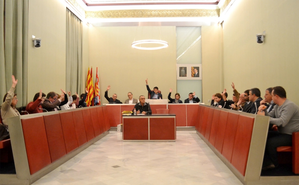 La majoria del ple va votar 'sí' a la moció