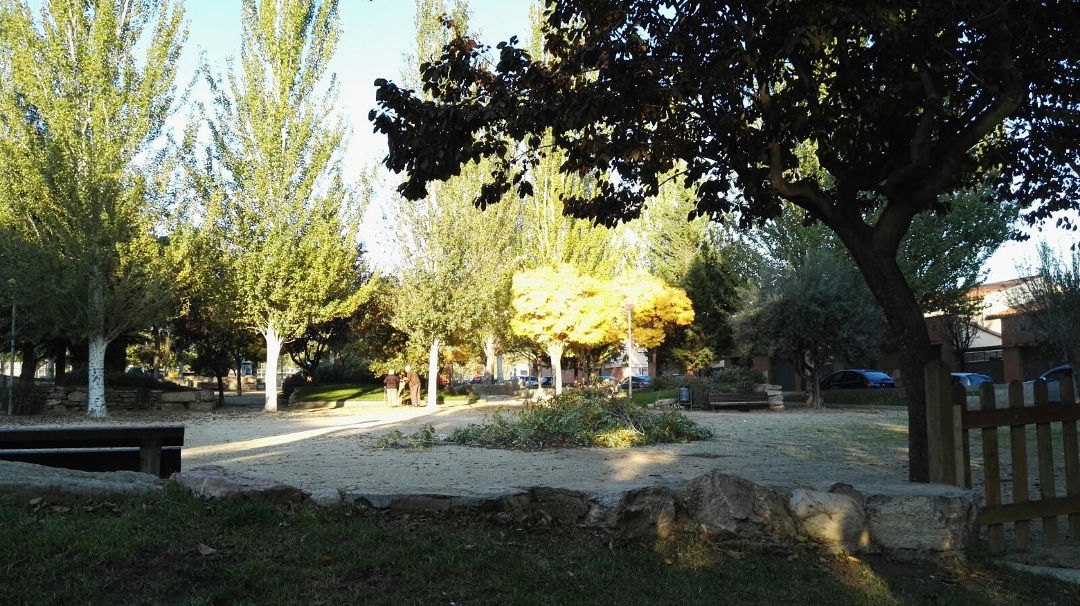 La poda dels arbres, a la Plaça Claramunt de Vilanova