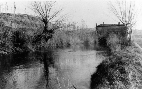 El molí amb la bassa, actualment sense aigua - Arxiu Comarcal de l'Anoia (AFMI12378)