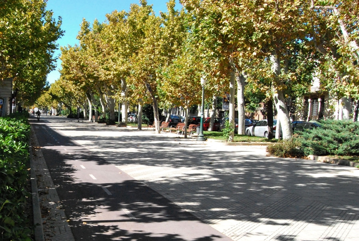 El Passeig Verdaguer, un dels punts amb més concentració d'arbres