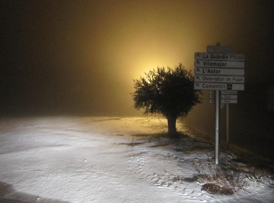 Enfarinada a l'Alta Anoia. Foto: Observatori de Pujalt