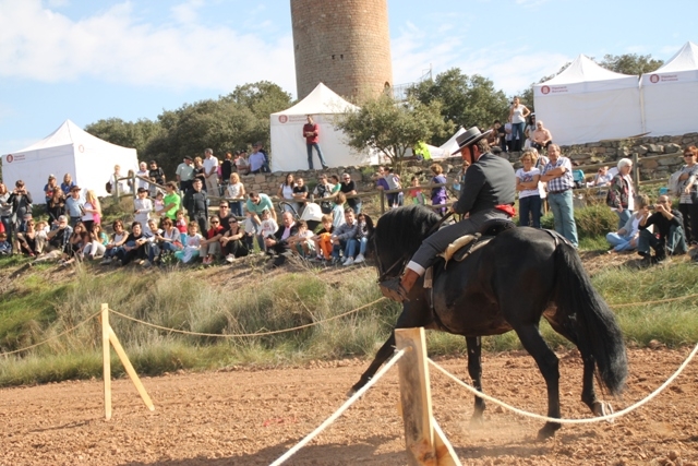 S'ha habilitat una pista on ha tingut lloc una exhibisió de doma d'alta escola