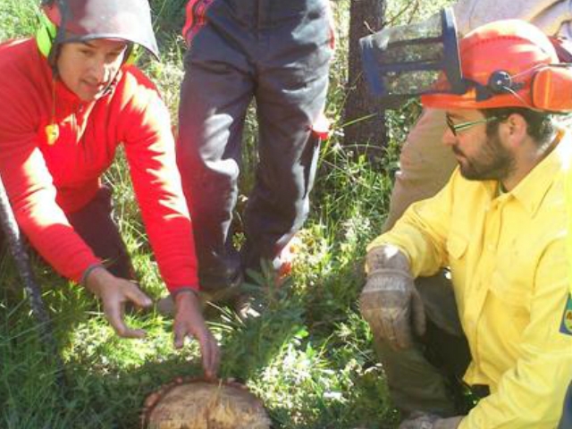 Diferents ADF de la comarca van participar de la jornada de formació