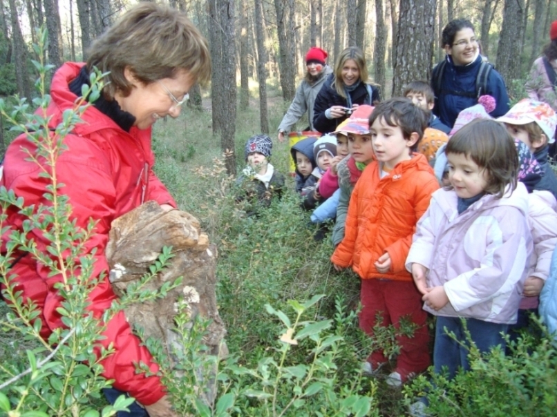 Els Esquirols i Girafes de l’Escola Pia busquen el Tió al bosc