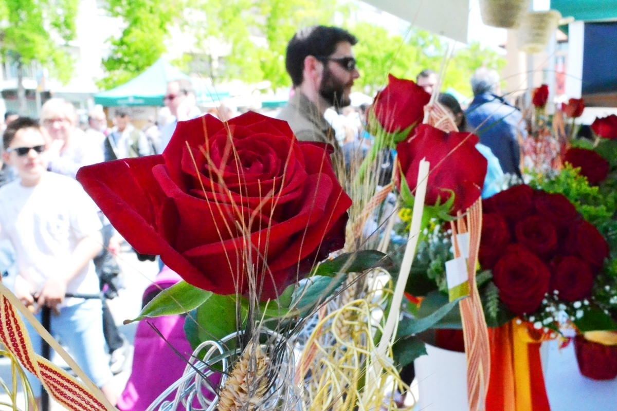 Una de les roses a la venda a la Plaça de Cal Font, el 2017