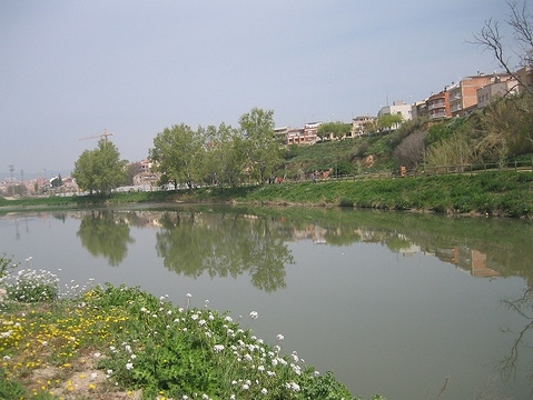 Riu Anoia al seu pas per Igualada