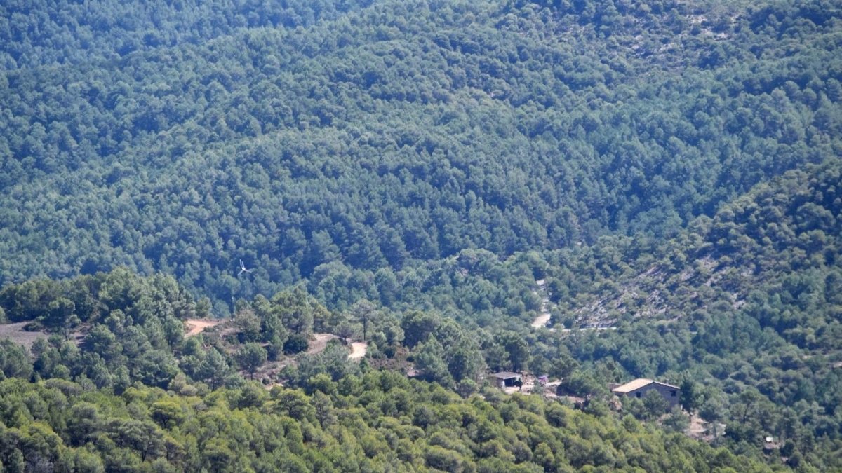 Els boscos d'Argençola, un actiu per conèixer