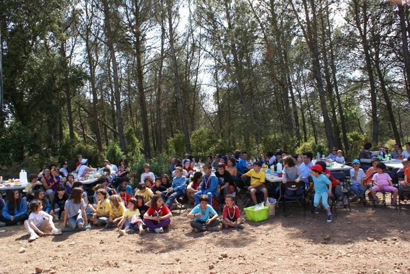 Festa de Sant Jordi de l'any passat