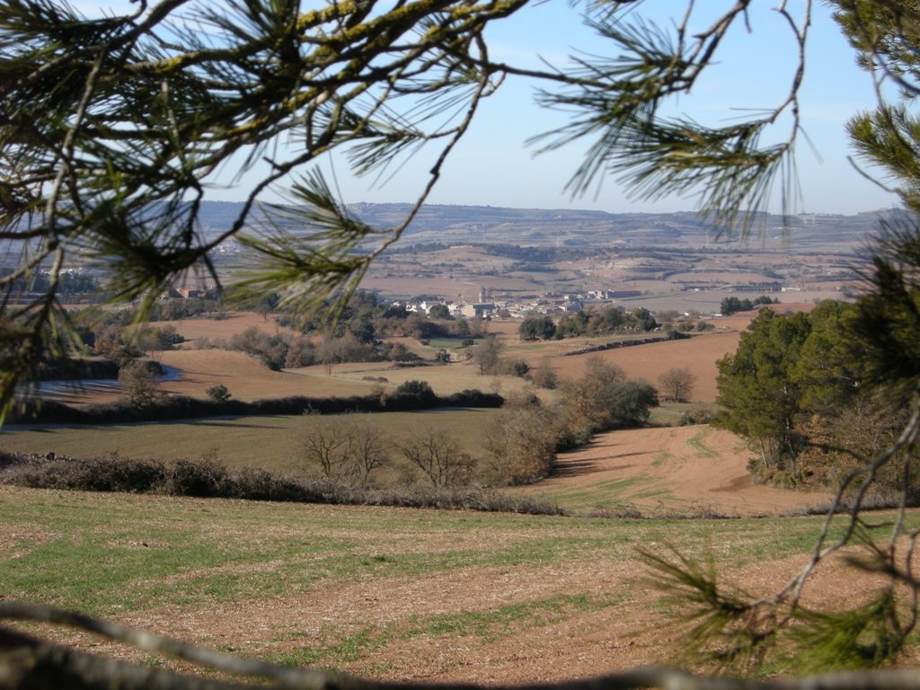 Vista dels Prats de Rei - Foto: Ramon Costa