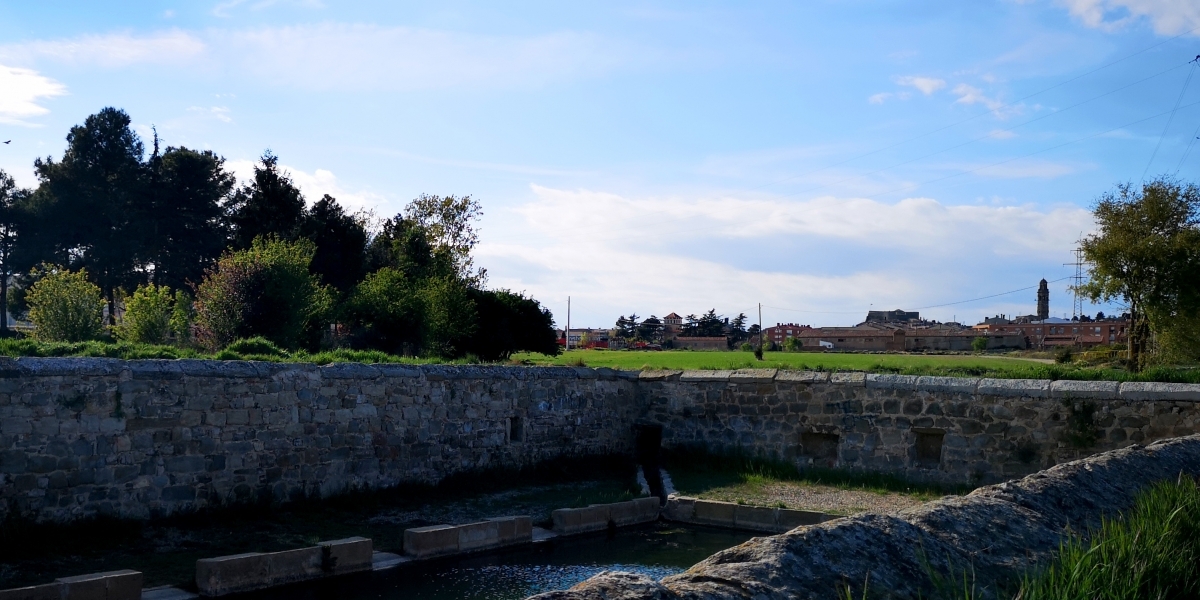 El Bosquet del Rentador, a Calaf