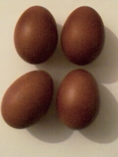 Els ous són d'un color fosc