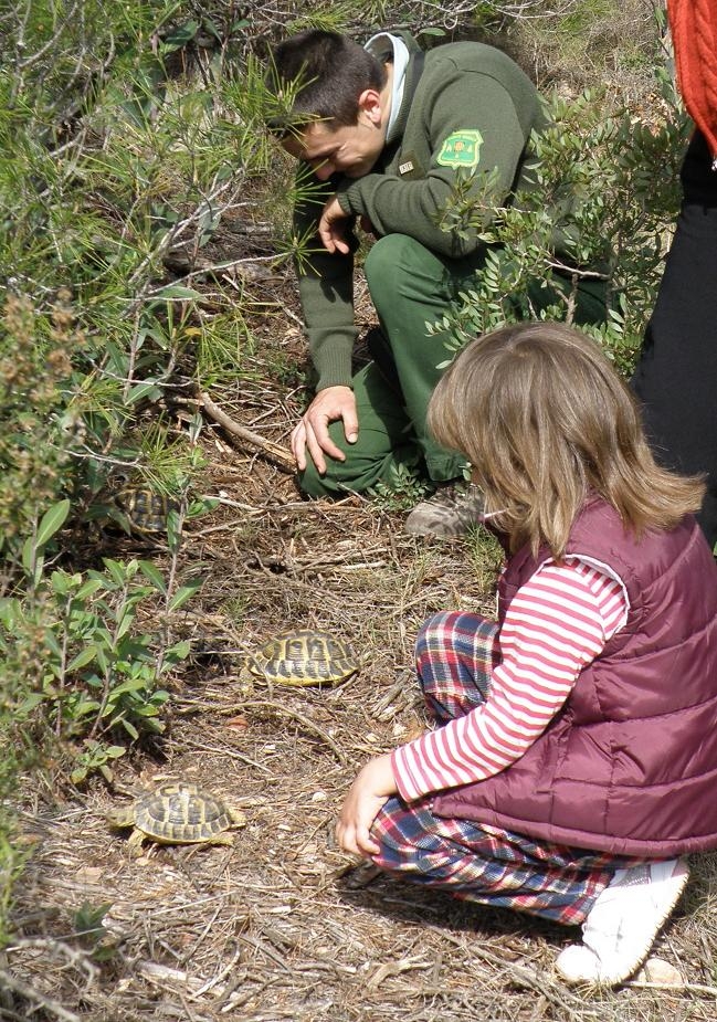 Una de les reintroduccions que el CRARC ha fet a la serra de Montsant