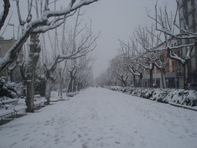 Imatge del passeig Verdaguer nevat