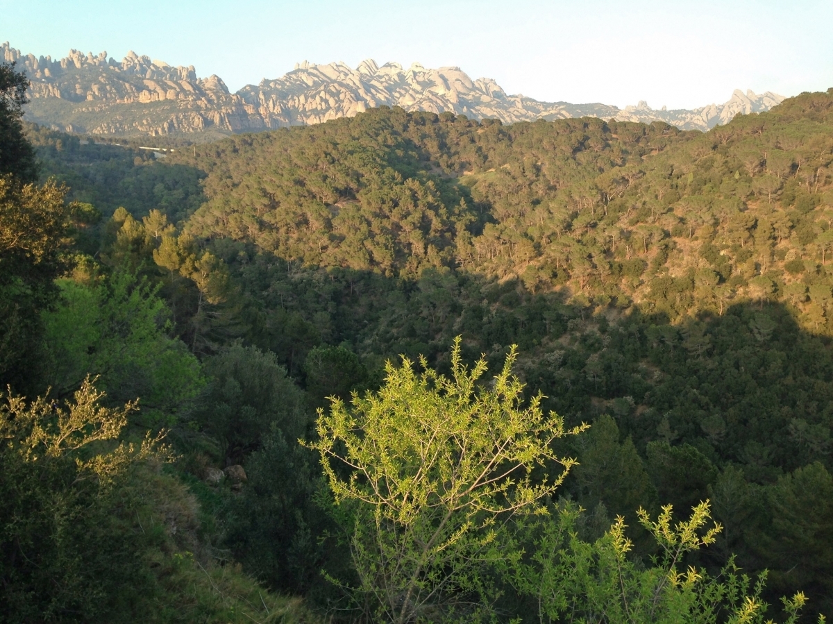 La zona de Roques Blanques, al Bruc