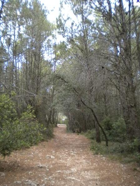 Ruta Can Macià, Puig Aguilera i Torrent del Raval d'Aguilera