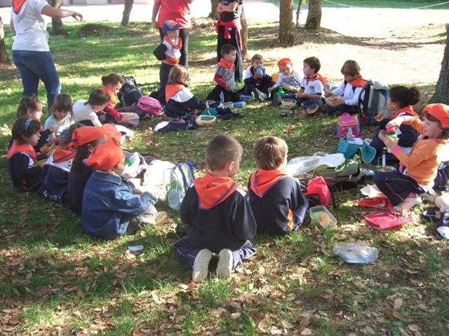 Els infants del CEIP Marta Mata visiten el bosc