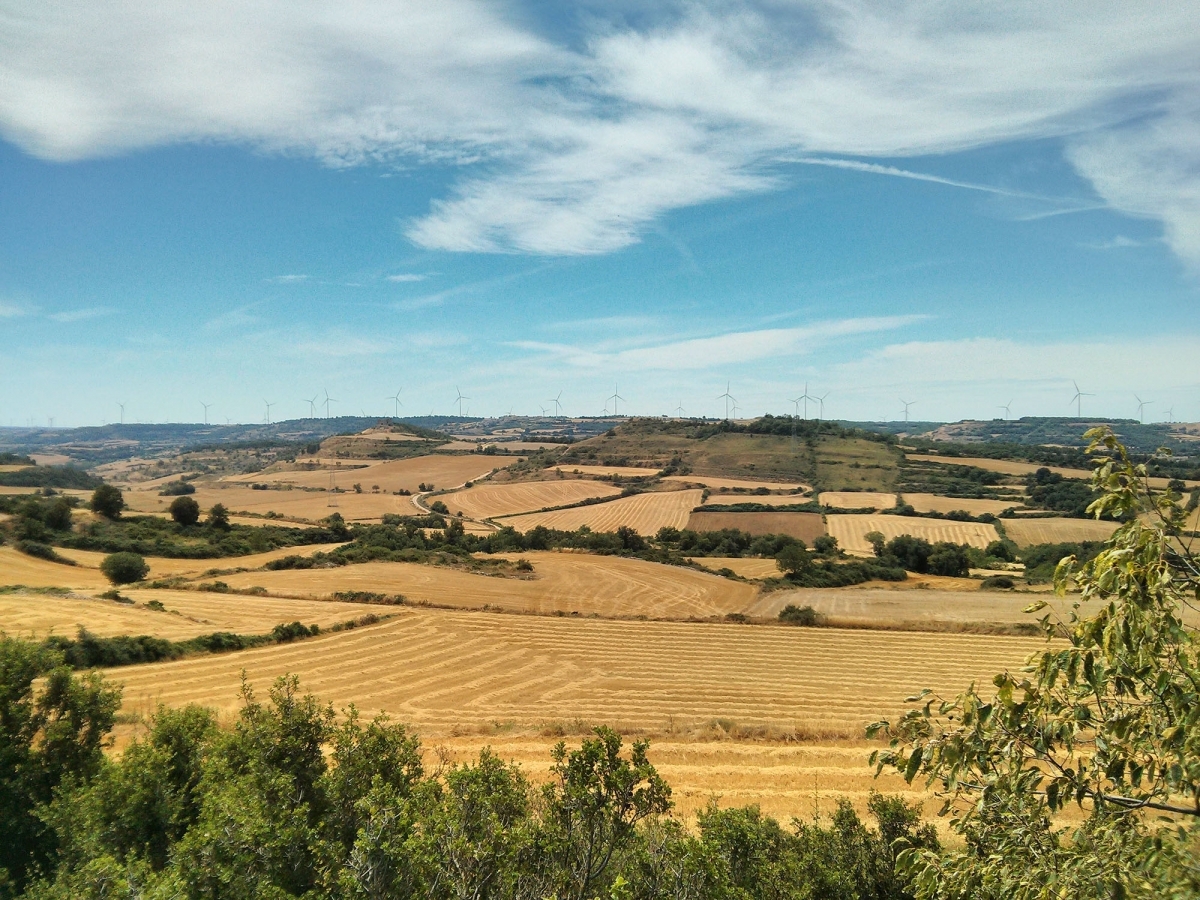 El paisatge de l'Alta Segarra, coronat pels parcs eòlics