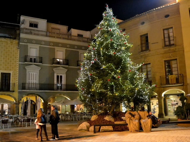 Arbre de Nadal a la Plaça de l'Ajuntament