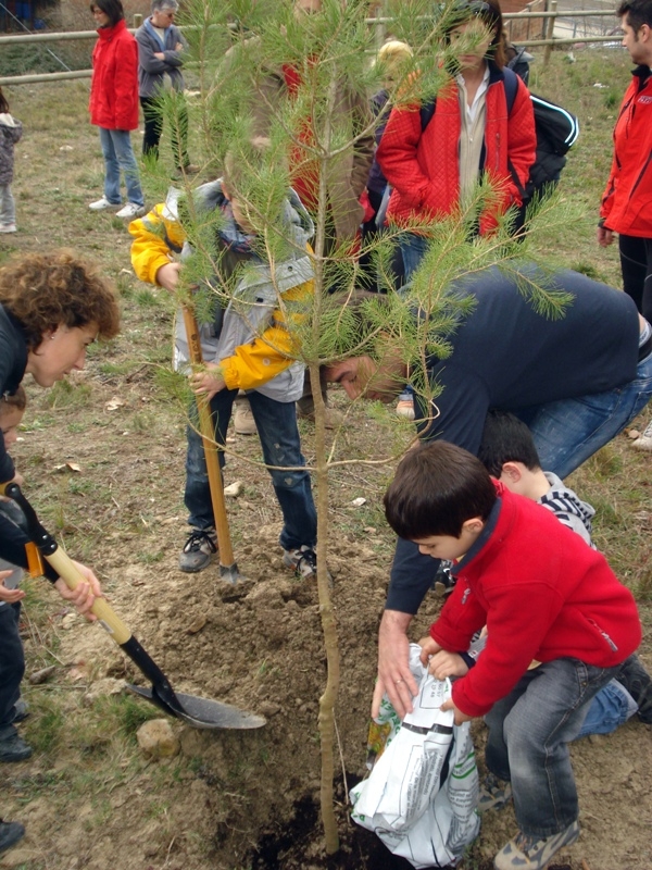 Plantant arbres a les Escolàpies