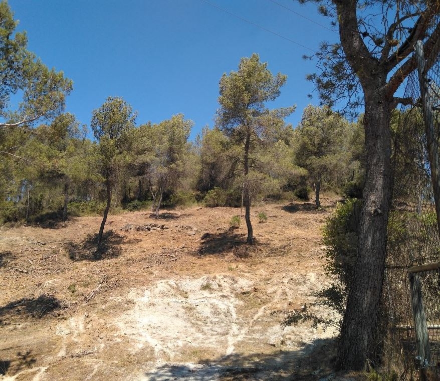 La franja que s'ha fet a la zona odenenca