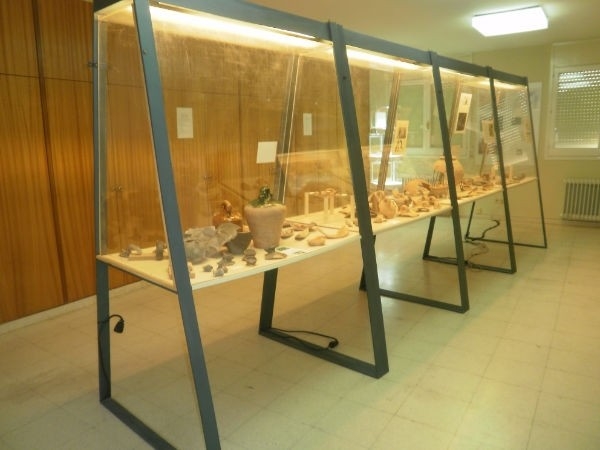 Les vitrines de la col·lecció llacunenca