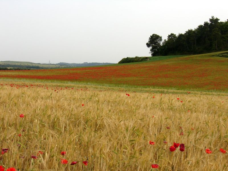 Paisatge rural a l'Astor