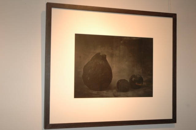 Natures Mortes, a la sala d'exposicions