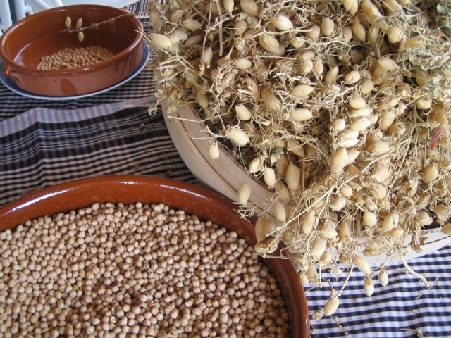 El cigronet, un dels productes que es pot trobar a Agro Igualada