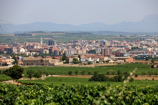 Vista de Vilafranca del Penedès, una de les quatre capitals de la Vegueria