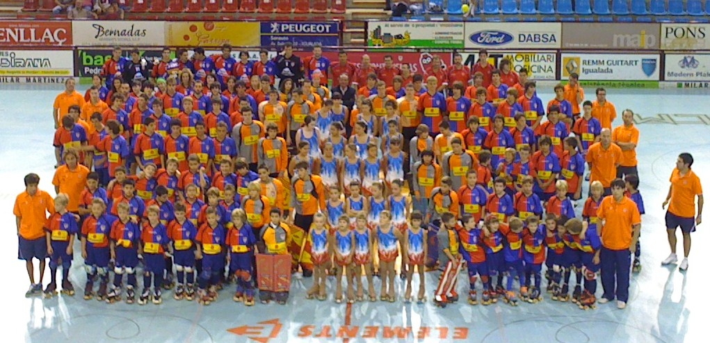 ELs equips de l'IHC