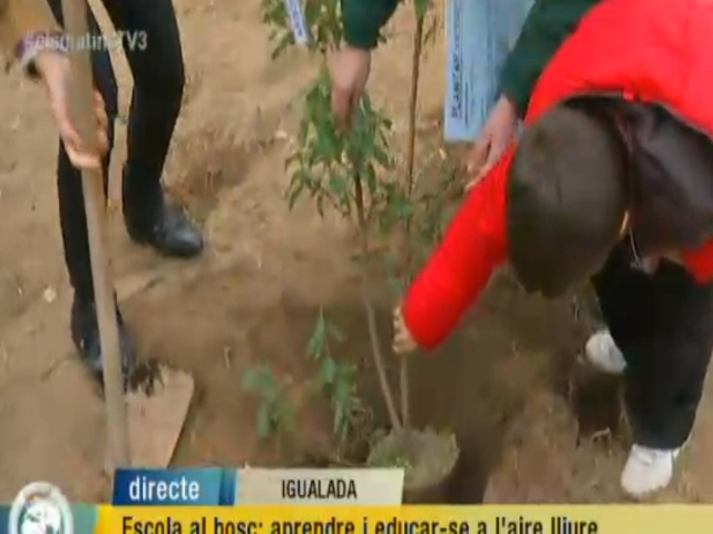 Moment del directe que 'Els Matins' va realitzar a l'Escola Gabriel Castellà