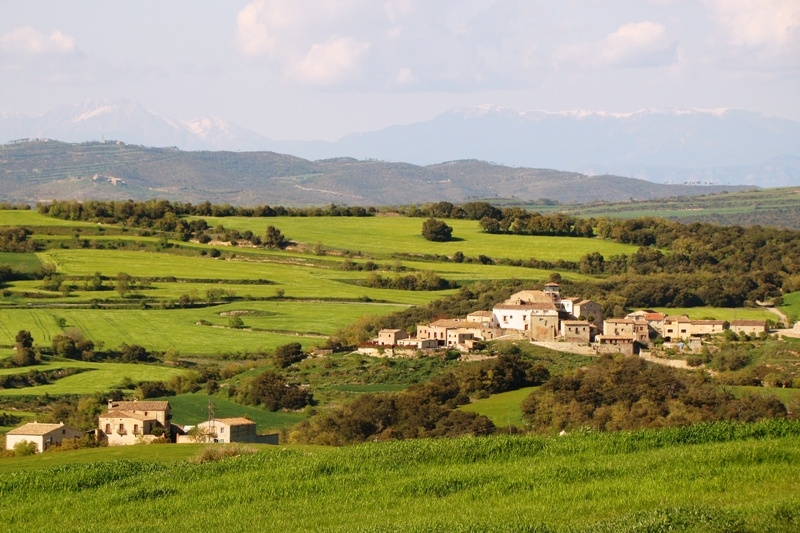 Preciós entorn del nucli d'Aleny, a Calonge