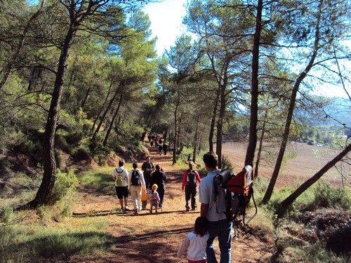 La caminada de Miralles