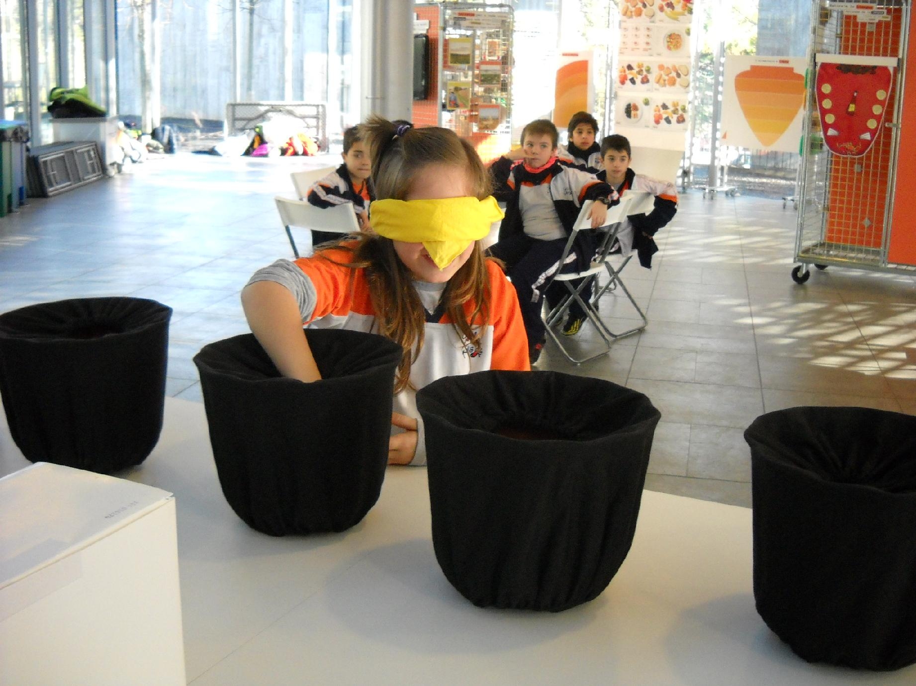 Experimentant amb els sentits