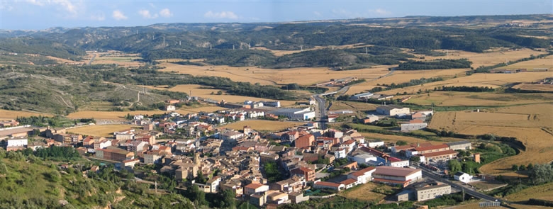 Els ajuntaments han signat el manifest al municipi de Torà
