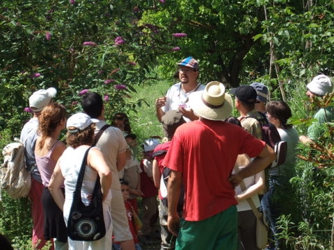 Jornada de 'Branques Obertes' al Jardí