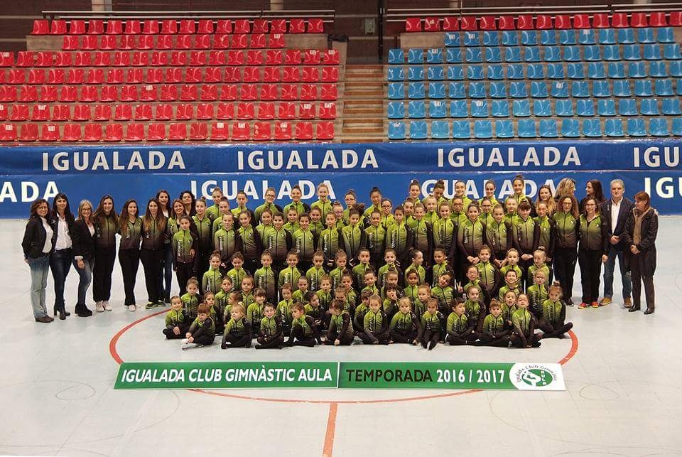 L'Igualada Club Gimnàstic Aula, en una foto dels diferents equips