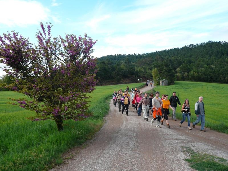 Una caminada pel terme de Sant Pere