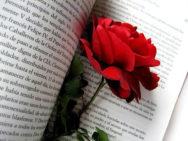 Roses i llibres, protagonistes de Sant Jordi