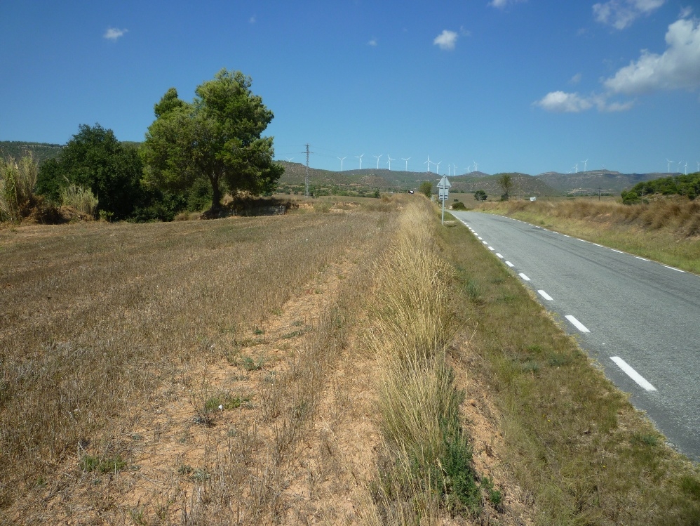 El sector de Can Morera, al costat de la BV-1031 Foto: Moisès Jordi