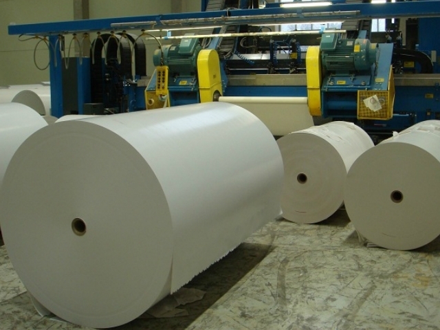 La fàbrica de Miquel i Costas, de paper, un dels sectors industrials més sòlids