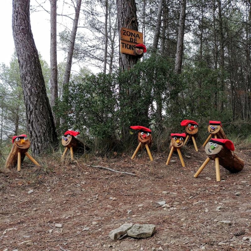 Els tions esperen als boscos